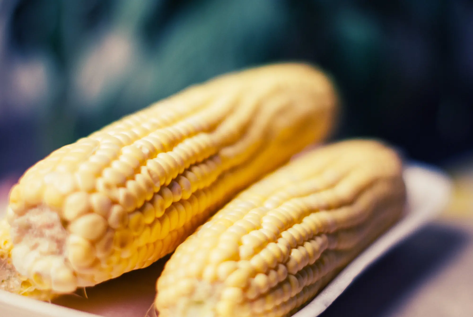 corn cob